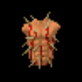 Armor of Twisting Thorns