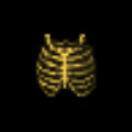 Bone Armor