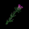 Thistle Mace