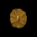 Raw Hide Shield